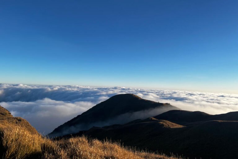 Sea Of Clouds At Mount Pulag