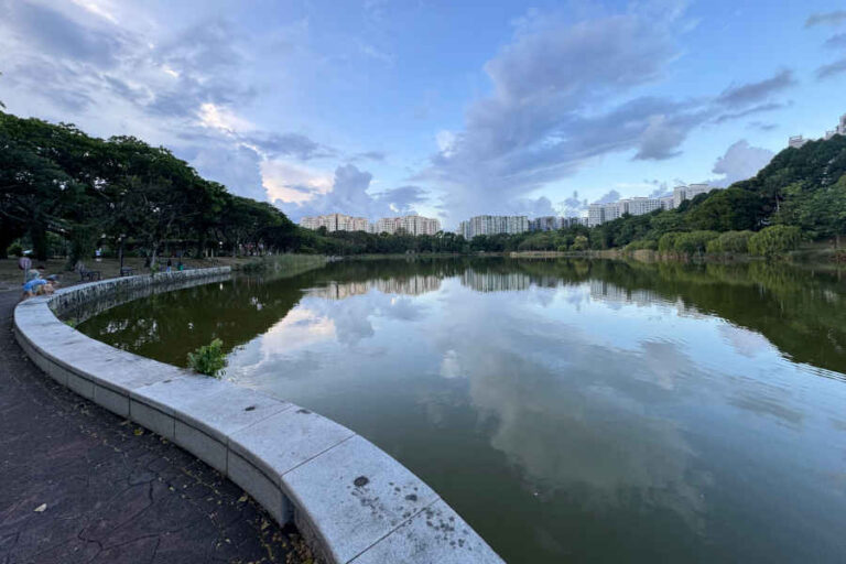 Pond Of Punggol Park