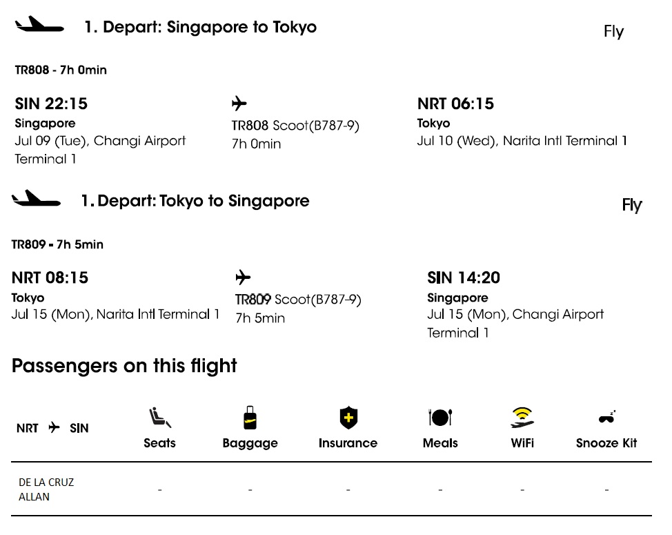 Flight Information Japan Tourist eVisa Application