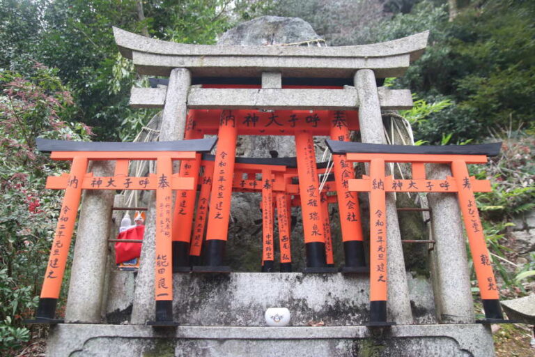 Miniature Torii Gates At Fushimi Inari Kyoto