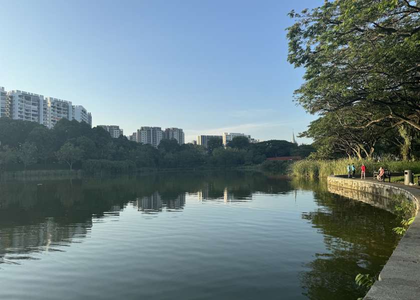 Lake View