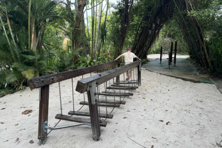 Adventure Trail At Childrens Garden Far East Organization