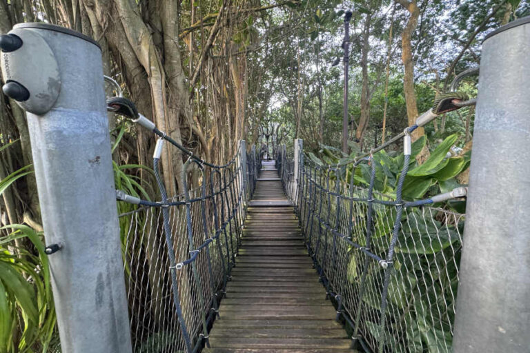 Rope Bridges Childrens Garden Far East Organization