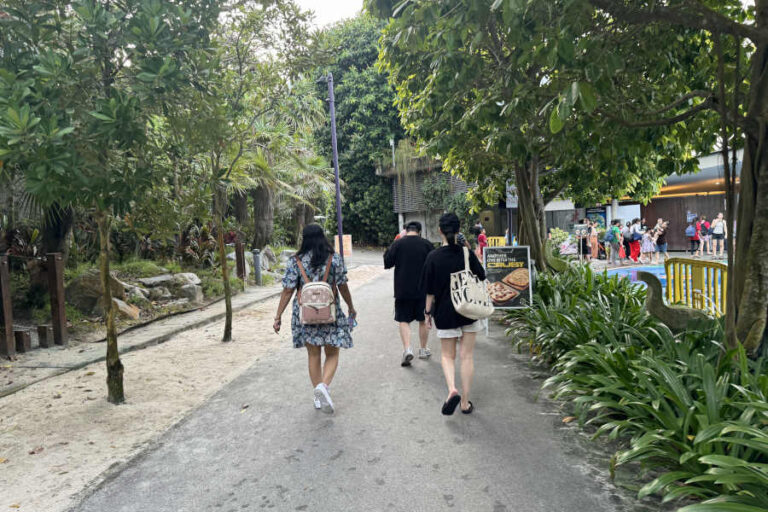 Things To Do In Far East Organization Garden