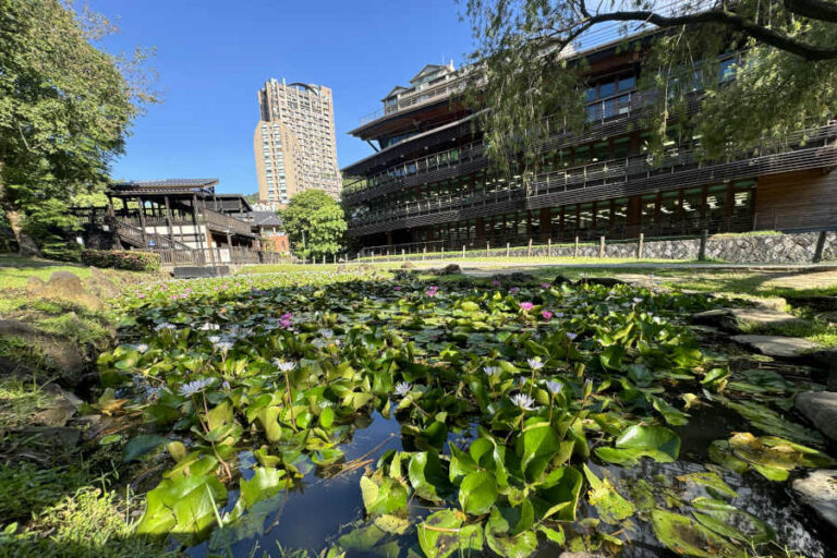 Lotus Pond At Beitou Taiwan Hot Spring