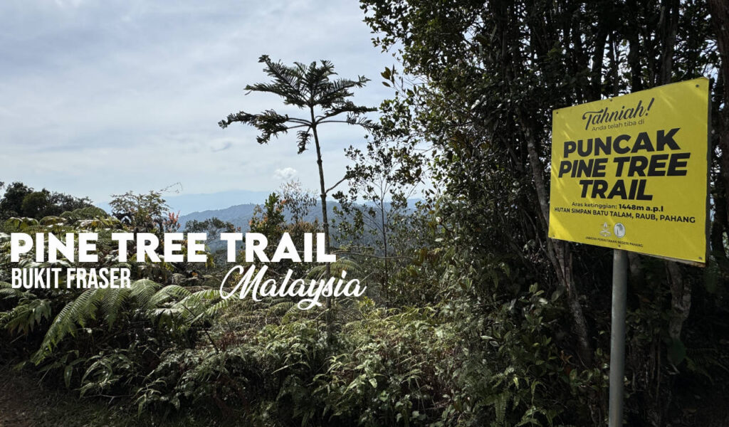 Pine Tree Hill Malaysia
