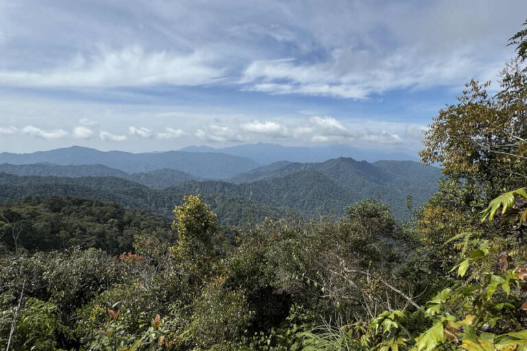 Summit View Of Pine Tree Hill Malaysia