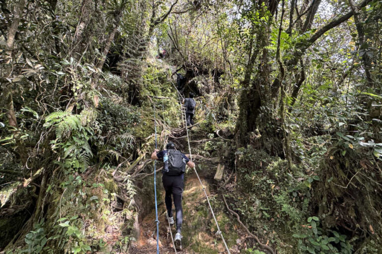Final Ascent To 87 degrees Pine Tree Hill Malaysia