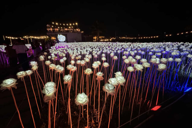 LED Lights 10000 Roses Cordova Cebu