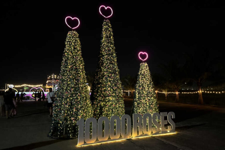 Christmas Tree Decoration At 10000 Roses Cordova Cebu