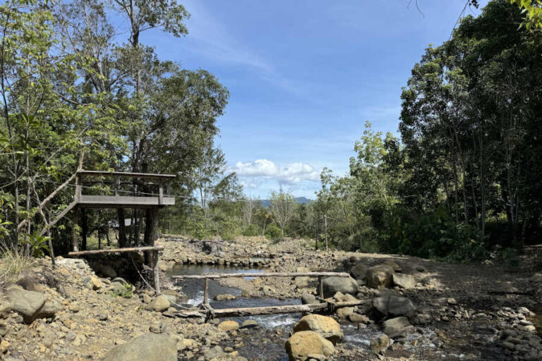 River Stream View At Darrport Campsite