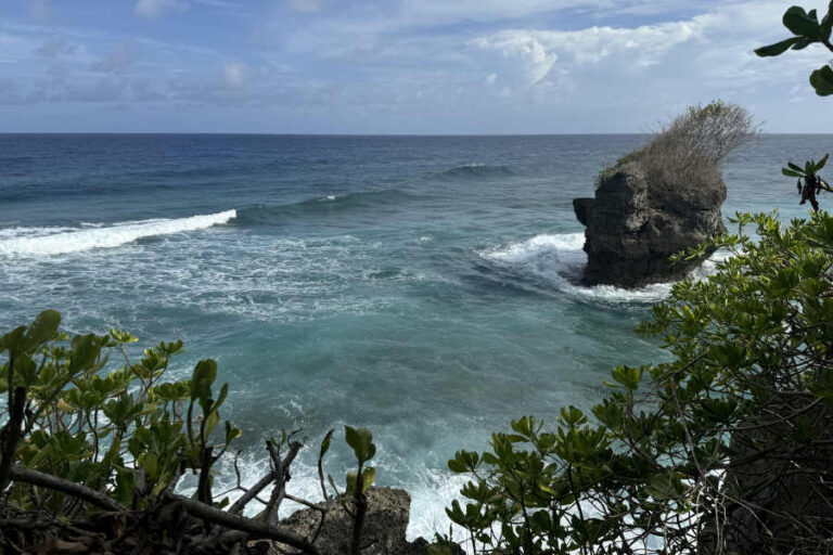 Pacific Ocean Waves From the Cape San Agustin