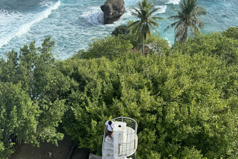 View From The Top of Cape San Agustin Lighthouse